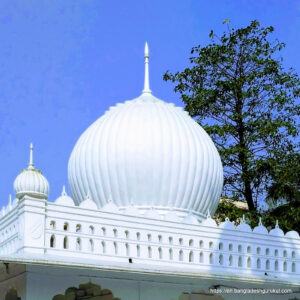 লালনের মাজারের গম্বুজের নিকট-চিত্র