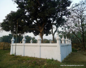 হাছন রাজার কবর, Hasan Raja